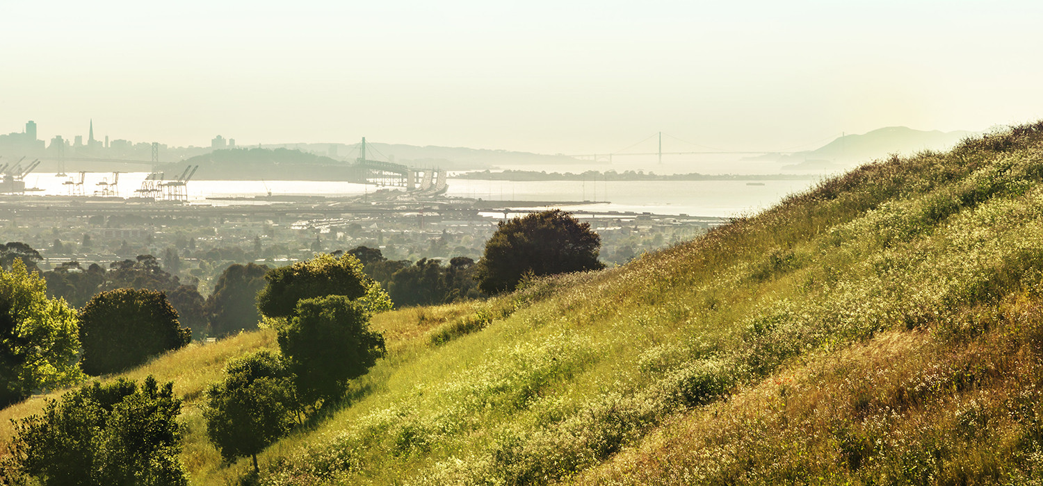 Become Amazed by the Beauty of Pleasant Hill, Ca and the East Bay